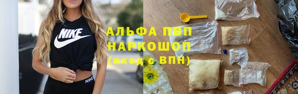 стаф Козловка