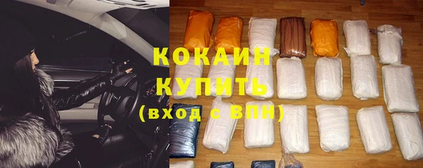 стаф Козловка