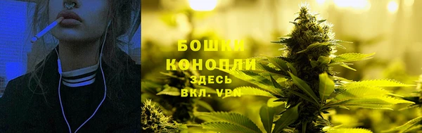 стаф Козловка