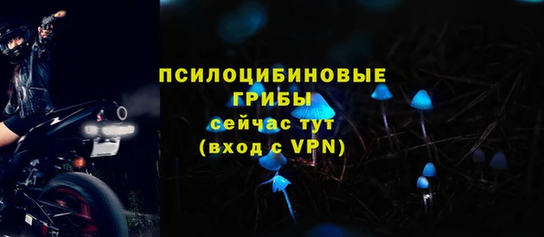 стаф Козловка