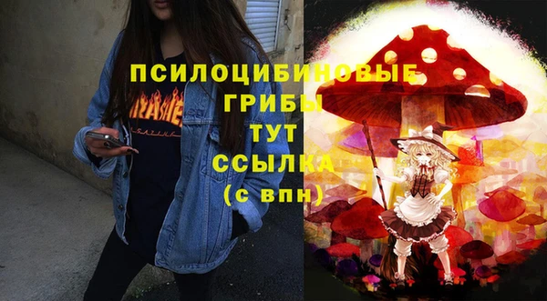 стаф Козловка