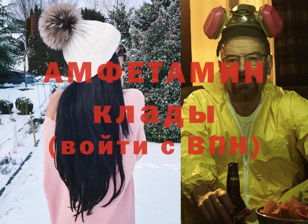 стаф Козловка