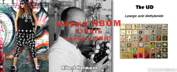 стаф Козловка