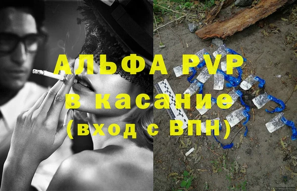 стаф Козловка