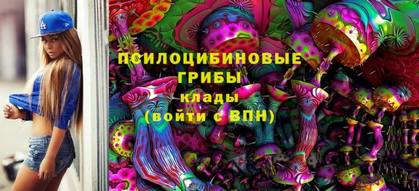амф Козельск