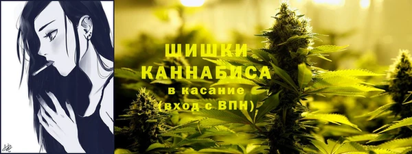 стаф Козловка
